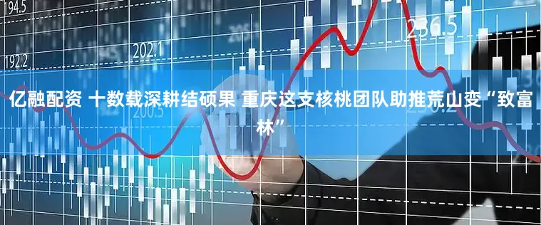 亿融配资 十数载深耕结硕果 重庆这支核桃团队助推荒山变“致富林”