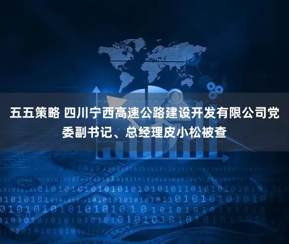 五五策略 四川宁西高速公路建设开发有限公司党委副书记、总经理皮小松被查