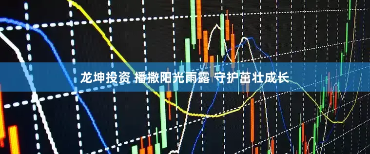 龙坤投资 播撒阳光雨露 守护茁壮成长