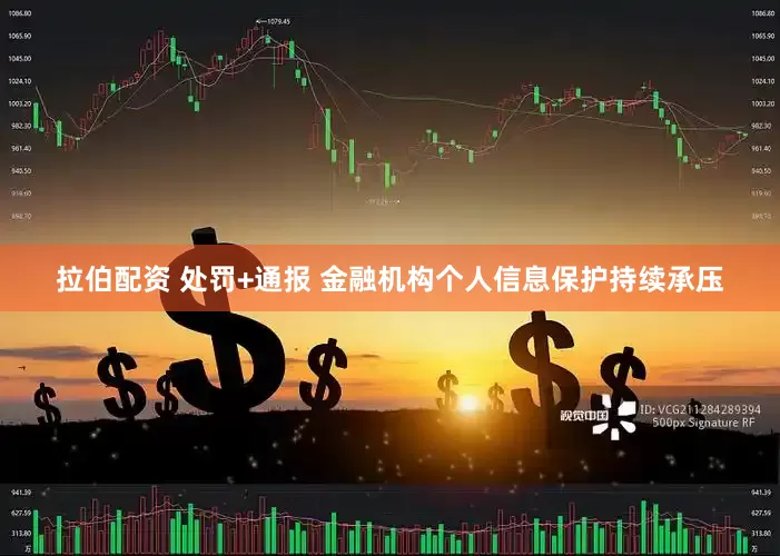拉伯配资 处罚+通报 金融机构个人信息保护持续承压
